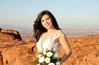 Bride and scenic background Valley of Fire - Amanda Miles Photography