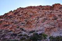 Red Springs Calico Basin - Red Rock