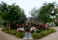 Rose Garden Elopement Area