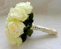 A15 - 12 Rose Cream Bouquet